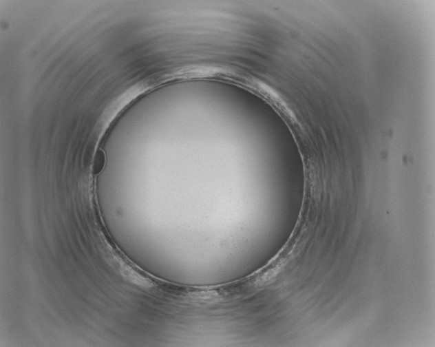 X0000072961186200608111643