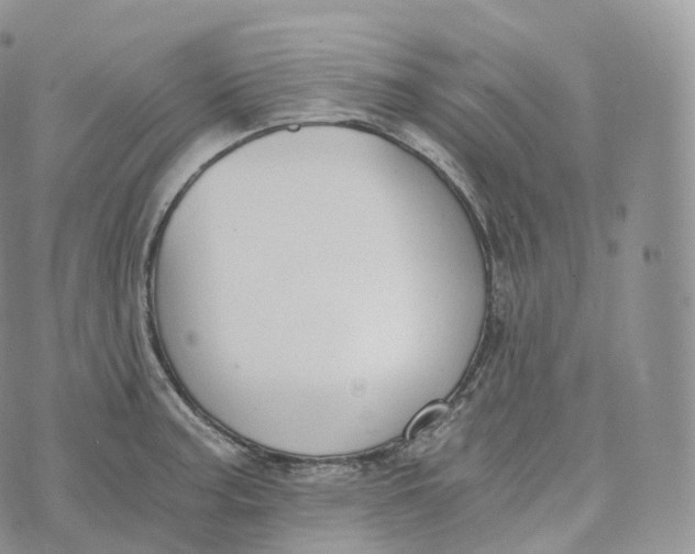 X0000072961187200608111643