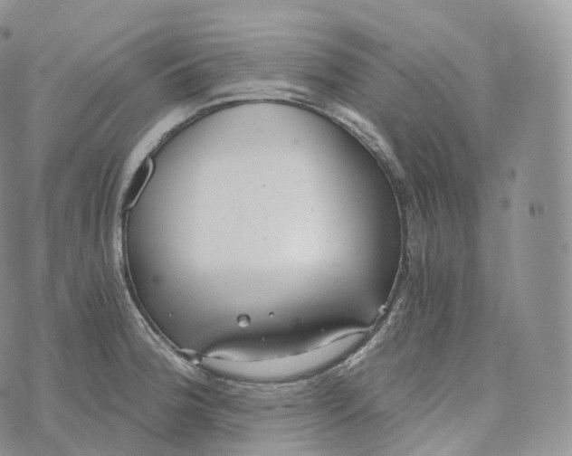 X0000072961188200608111643