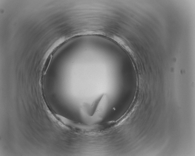 X0000072961189200608111643