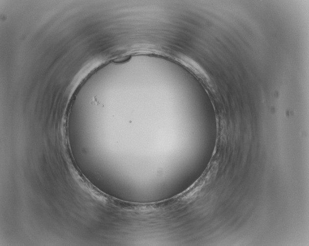 X0000072961190200608111643