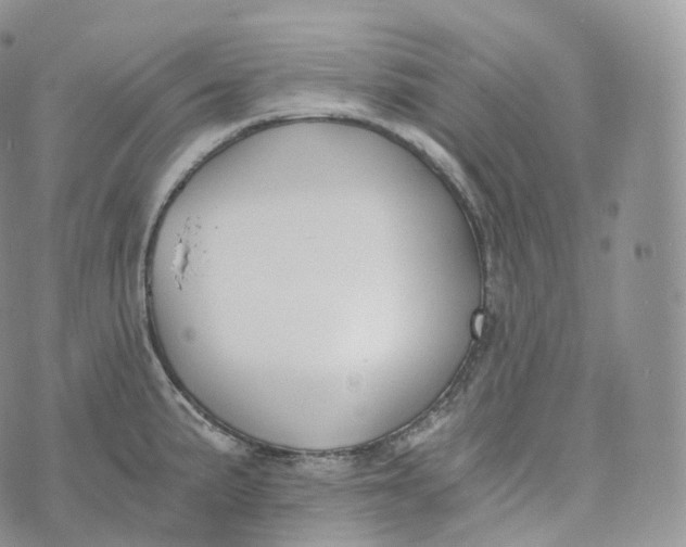 X0000072961191200608111643