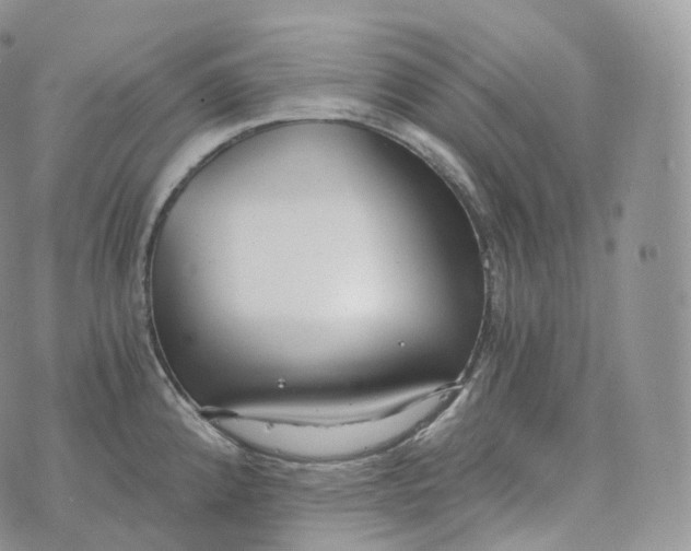 X0000072961192200608111643