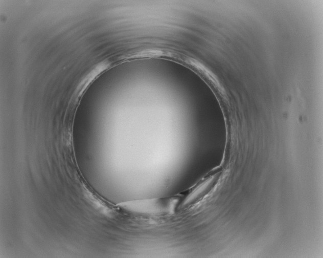 X0000072961193200608111643