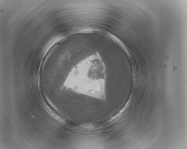 X0000072961194200608111643