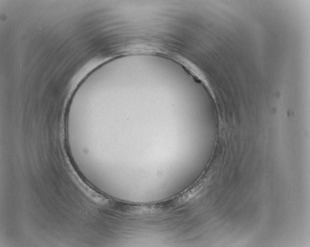 X0000072961195200608111643