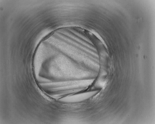 X0000072961197200608111643