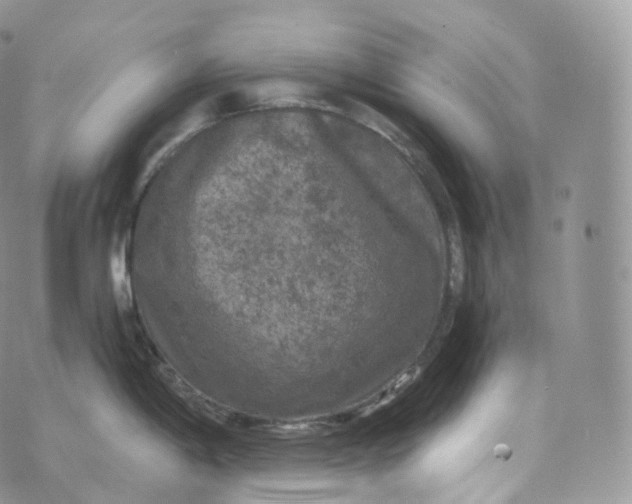 X0000072961198200608111643