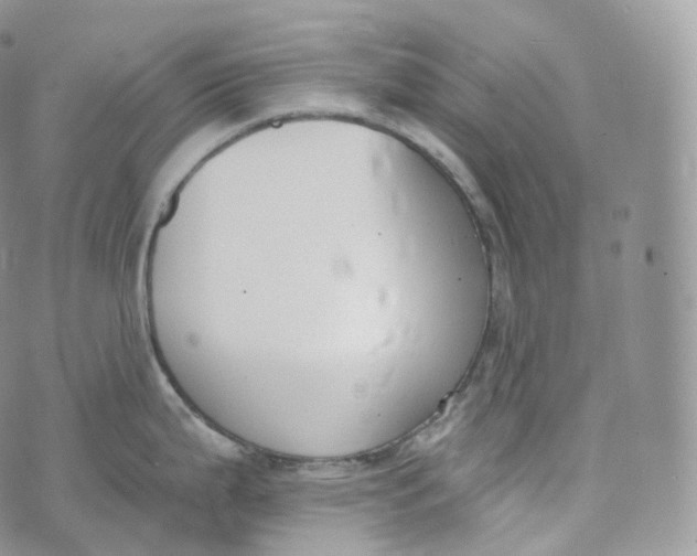 X0000072961199200608111643