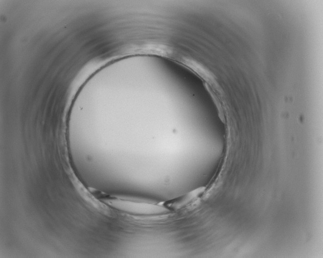 X0000072961200200608111643