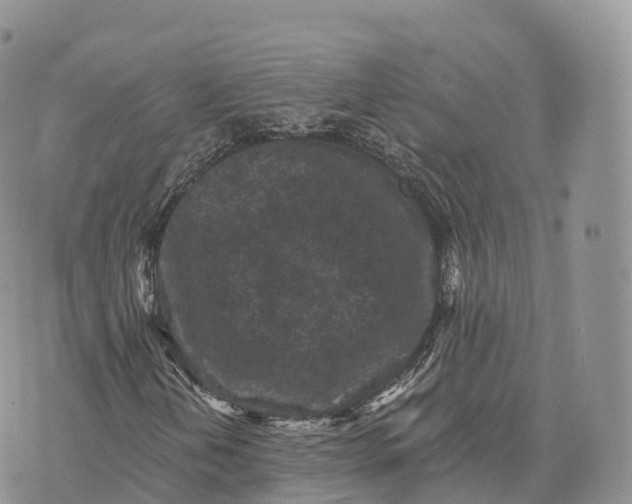 X0000072961202200608111642