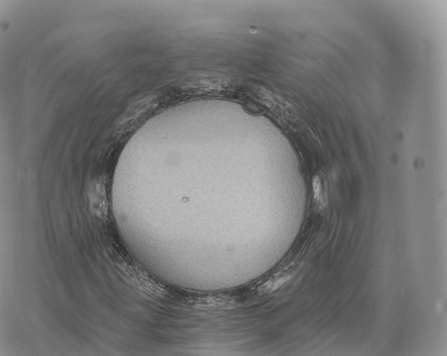 X0000072961203200608111642