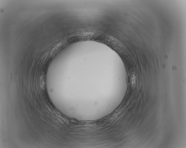 X0000072961204200608111642