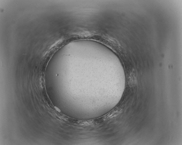 X0000072961205200608111642