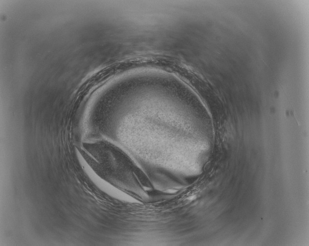 X0000072961206200608111642