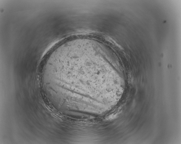 X0000072961208200608111642