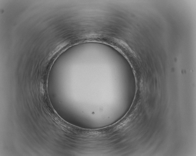 X0000072961209200608111642