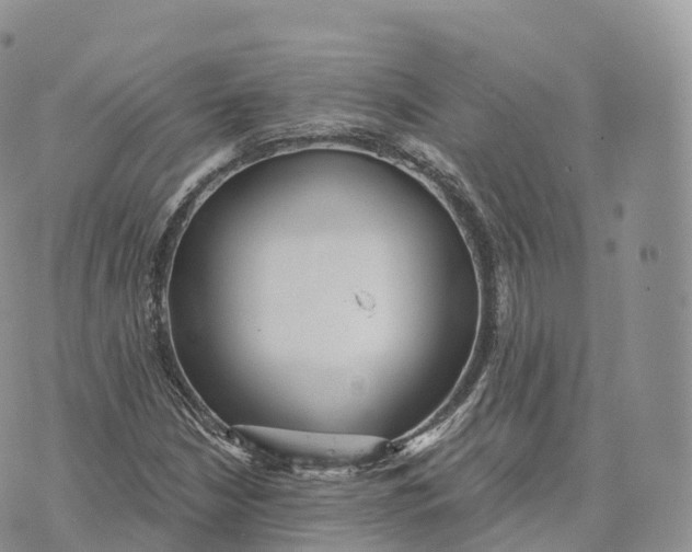 X0000072961210200608111642