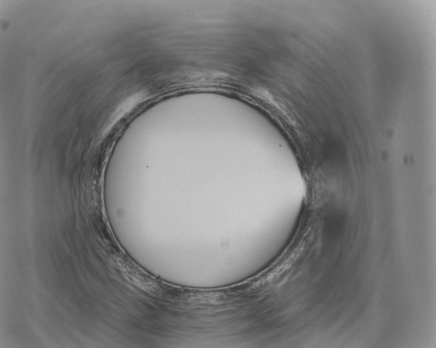 X0000072961211200608111642