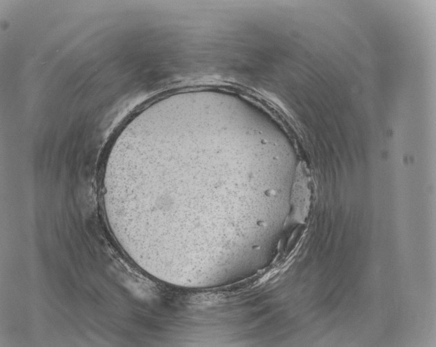 X0000072961212200608111642