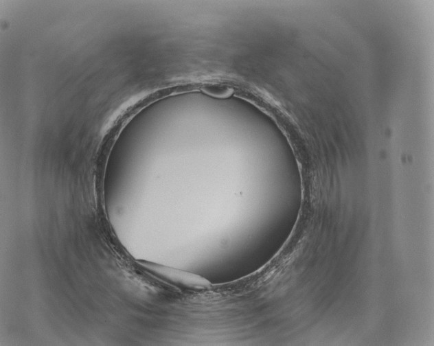 X0000072961214200608111642