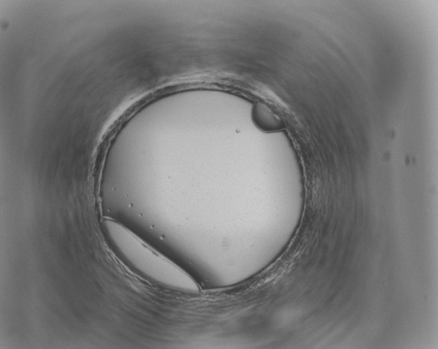 X0000072961216200608111642