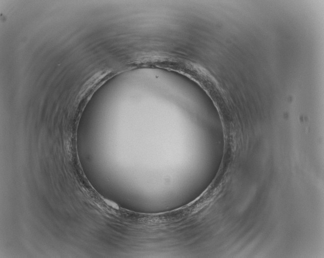 X0000072961217200608111642