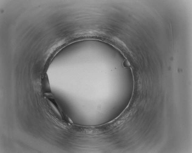 X0000072961218200608111642