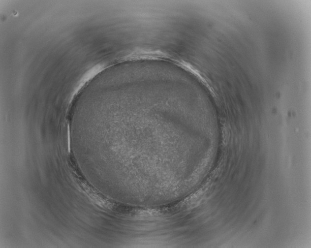 X0000072961219200608111642