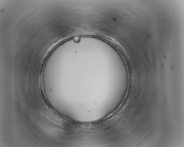 X0000072961220200608111642