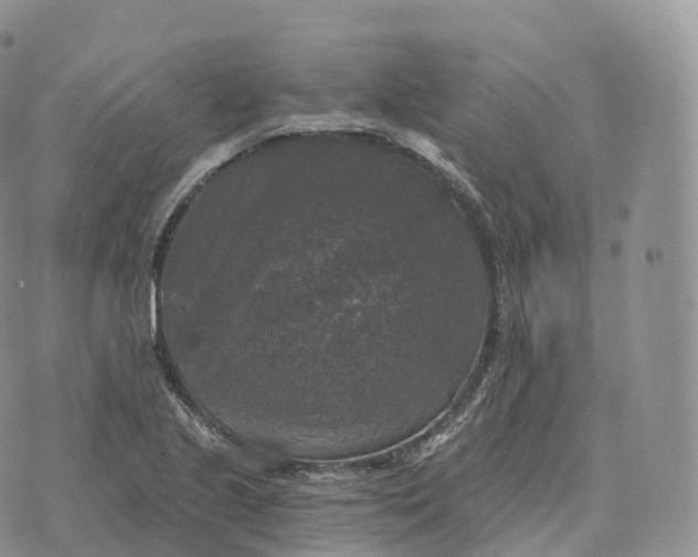 X0000072961221200608111642