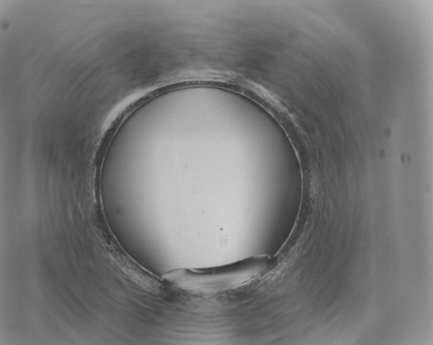 X0000072961222200608111642