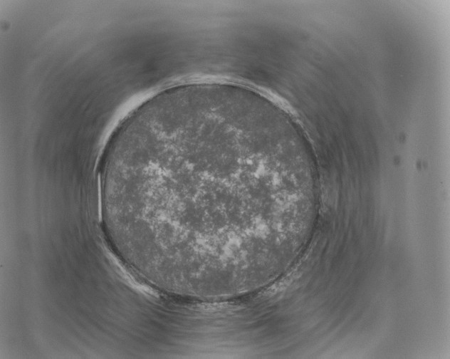 X0000072961223200608111642