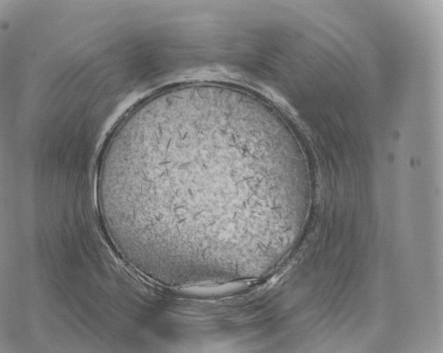 X0000072961224200608111642