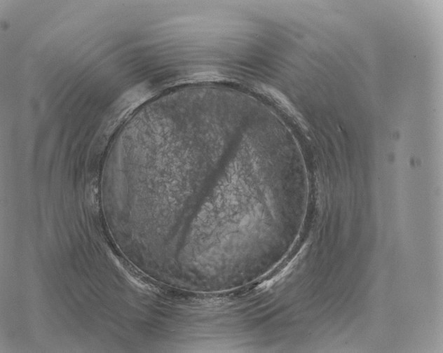 X0000072961225200608111642