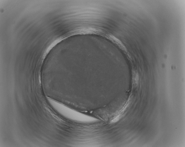 X0000072961226200608111642