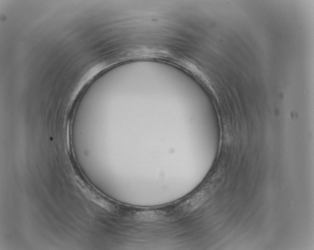 X0000072961227200608111642