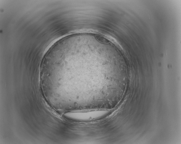 X0000072961228200608111643