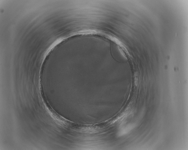 X0000072961229200608111643