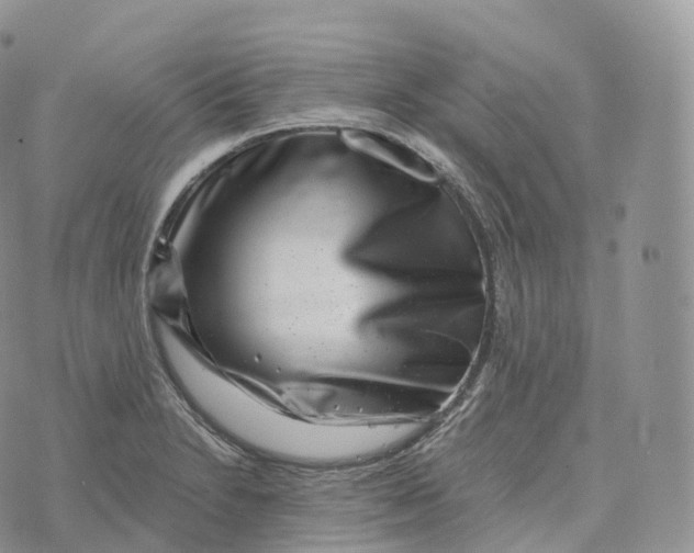 X0000072961230200608111643