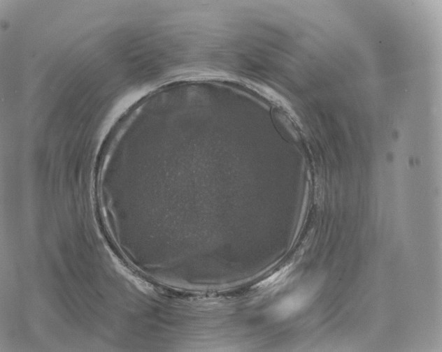 X0000072961231200608111643