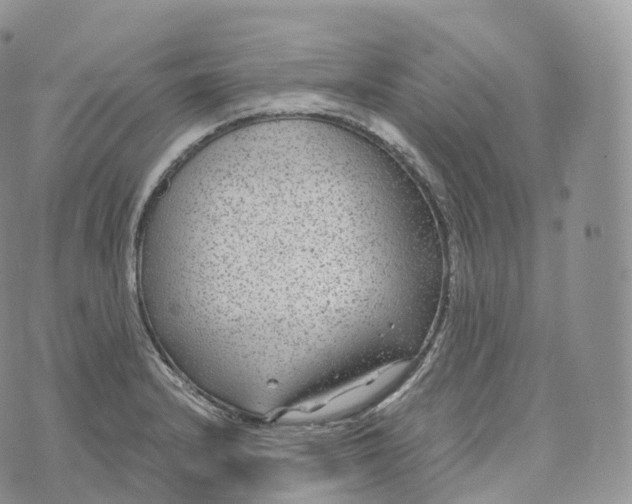 X0000072961232200608111643