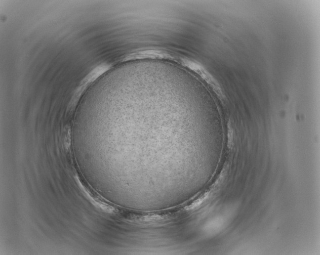 X0000072961233200608111643