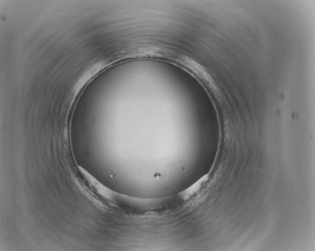 X0000072961234200608111643