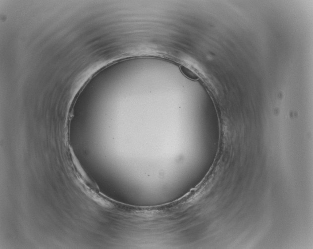 X0000072961236200608111643