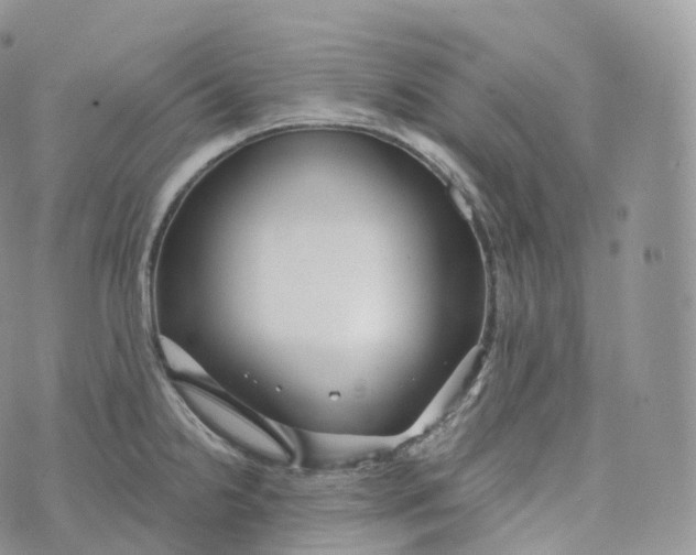 X0000072961238200608111643