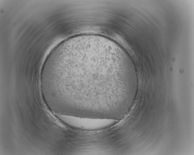 X0000072961240200608111643