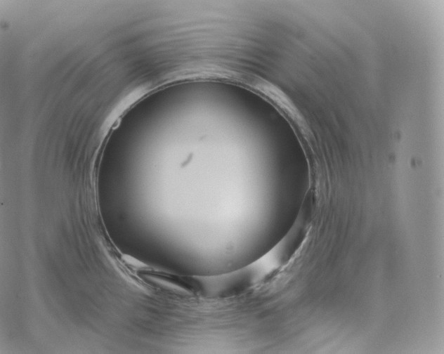 X0000072961242200608111643