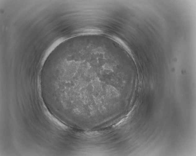 X0000072961243200608111643