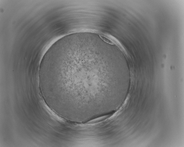 X0000072961244200608111643